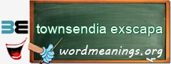 WordMeaning blackboard for townsendia exscapa